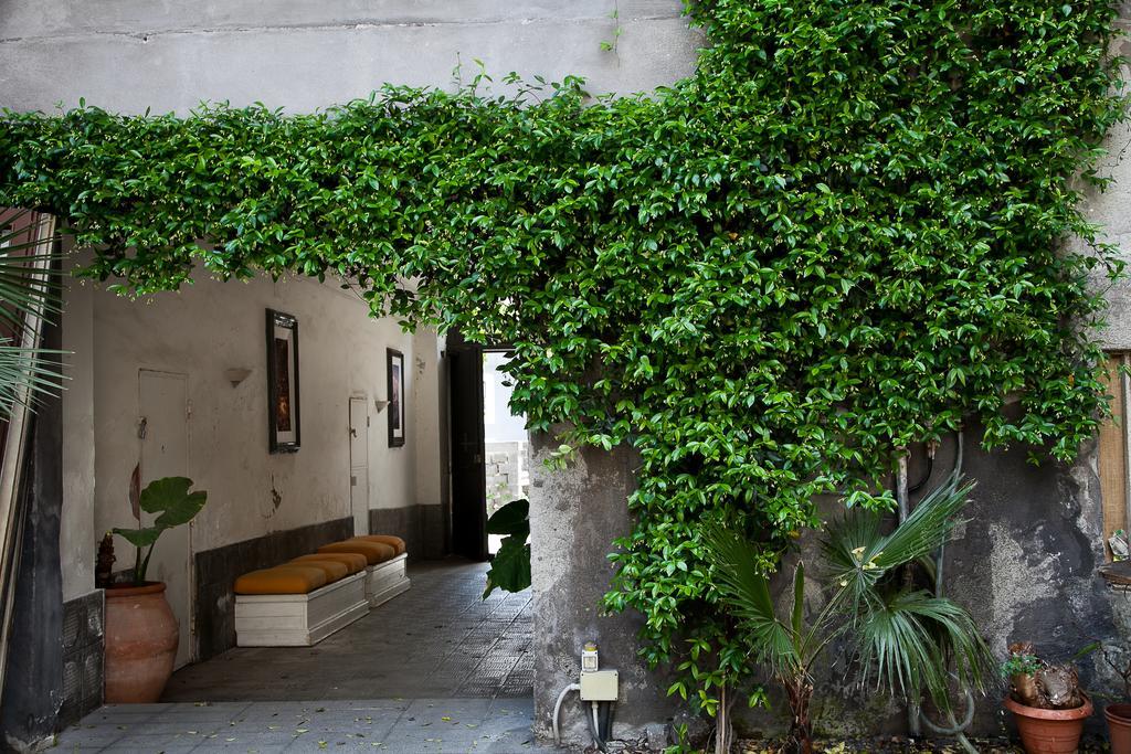 Alcala Living Apartments Catania Rom bilde